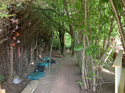 LW Woodland 3